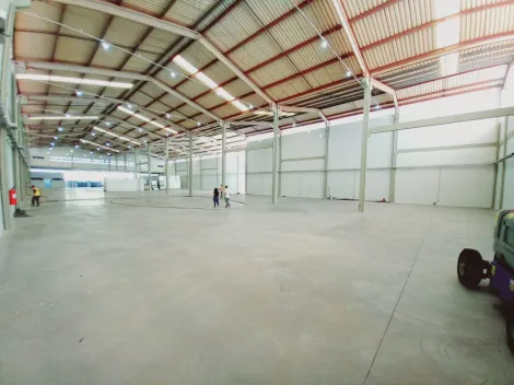 imagem 3 - GALPÃO EM CRAVINHOS imagem 3 - GALPÃO EM CRAVINHOS