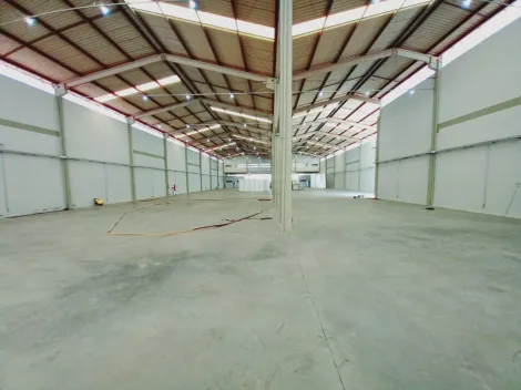 imagem 2 - GALPÃO EM CRAVINHOS imagem 2 - GALPÃO EM CRAVINHOS