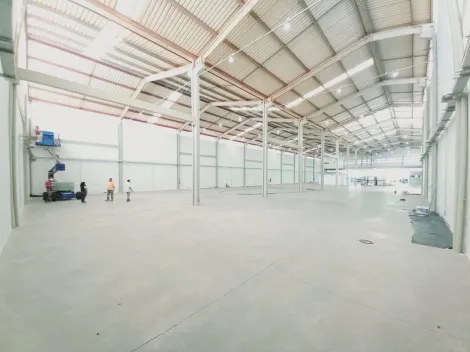 imagem 4 - GALPÃO EM CRAVINHOS imagem 4 - GALPÃO EM CRAVINHOS