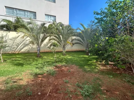 imagem 5 - EXCELENTE TERRENO PRÓXIMO A FIUSA imagem 5 - EXCELENTE TERRENO PRÓXIMO A FIUSA