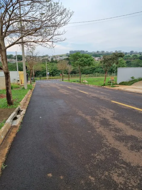 Alugar Terrenos / Padrão em Bonfim Paulista R$ 1.100,00 - Foto 3