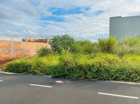 imagem 1 - Terreno de 160m² à venda - Parque das Oliveiras imagem 1 - Terreno de 160m² à venda - Parque das Oliveiras