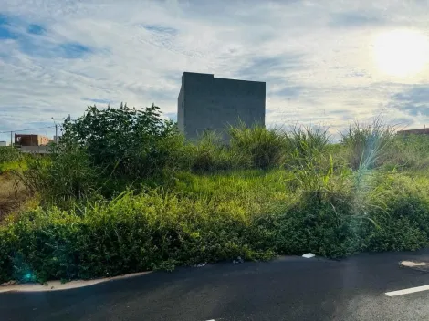 imagem 2 - Terreno de 160m² à venda - Parque das Oliveiras imagem 2 - Terreno de 160m² à venda - Parque das Oliveiras