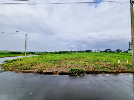 imagem 2 - Terreno - Comercial imagem 2 - Terreno - Comercial