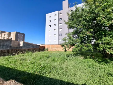 imagem 2 - Terreno de 716m² com muro para locação e venda - Sumarezinho imagem 2 - Terreno de 716m² com muro para locação e venda - Sumarezinho