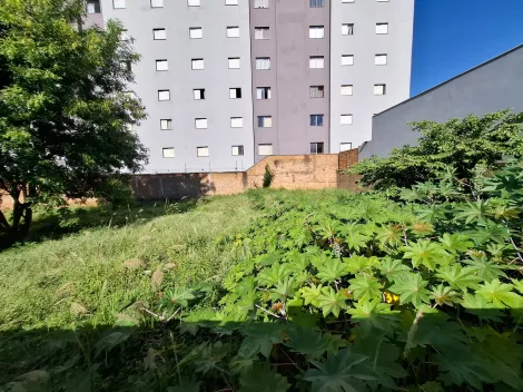 imagem 3 - Terreno de 716m² com muro para locação e venda - Sumarezinho imagem 3 - Terreno de 716m² com muro para locação e venda - Sumarezinho
