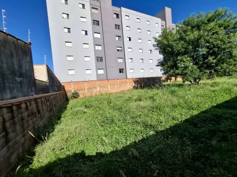 imagem 4 - Terreno de 716m² com muro para locação e venda - Sumarezinho imagem 4 - Terreno de 716m² com muro para locação e venda - Sumarezinho