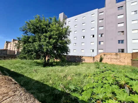 imagem 5 - Terreno de 716m² com muro para locação e venda - Sumarezinho imagem 5 - Terreno de 716m² com muro para locação e venda - Sumarezinho