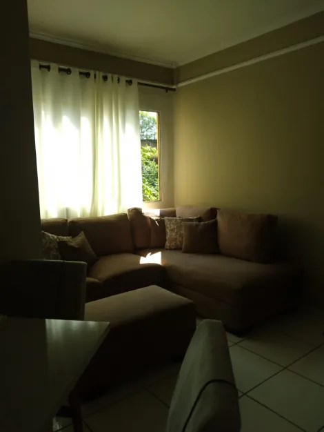 imagem 5 - APARTAMENTO NO JARDIM MACEDO imagem 5 - APARTAMENTO NO JARDIM MACEDO
