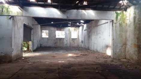 imagem 2 - Comercial padrão - Galpão - Armazém imagem 2 - Comercial padrão - Galpão - Armazém