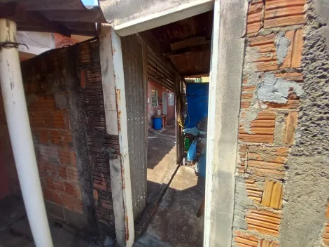 imagem 3 - Casa - Padrão imagem 3 - Casa - Padrão