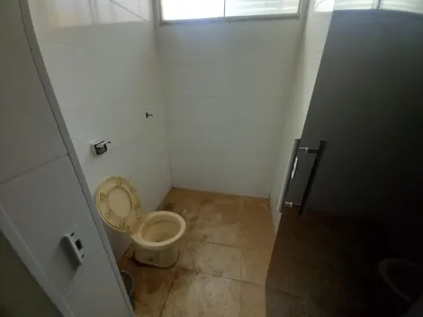 imagem 5 - Galpão para locação de 320m² - Vila Elisa imagem 5 - Galpão para locação de 320m² - Vila Elisa