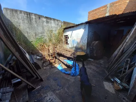 imagem 4 - Comercial padrão - Galpão - Armazém imagem 4 - Comercial padrão - Galpão - Armazém