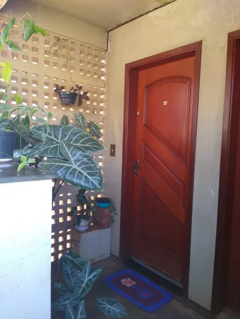 imagem 1 - APARTAMENTO JD JOAO ROSSI imagem 1 - APARTAMENTO JD JOAO ROSSI