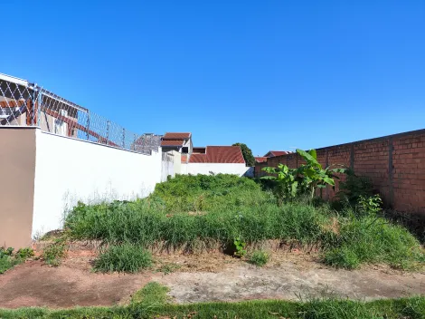 imagem 1 - Terreno de 383m² à venda - Vila Ana Maria imagem 1 - Terreno de 383m² à venda - Vila Ana Maria