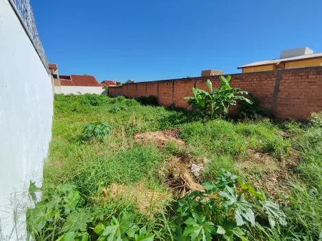 imagem 4 - Terreno de 383m² à venda - Vila Ana Maria imagem 4 - Terreno de 383m² à venda - Vila Ana Maria
