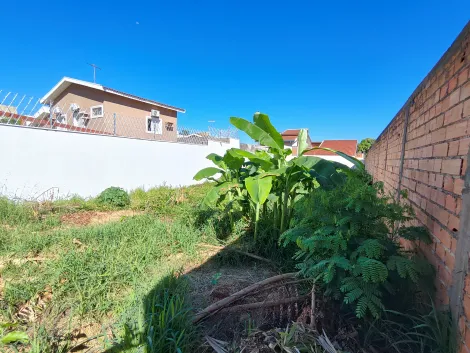 imagem 5 - Terreno de 383m² à venda - Vila Ana Maria imagem 5 - Terreno de 383m² à venda - Vila Ana Maria