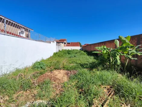 imagem 2 - Terreno de 383m² à venda - Vila Ana Maria imagem 2 - Terreno de 383m² à venda - Vila Ana Maria