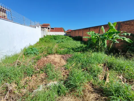 imagem 3 - Terreno de 383m² à venda - Vila Ana Maria imagem 3 - Terreno de 383m² à venda - Vila Ana Maria