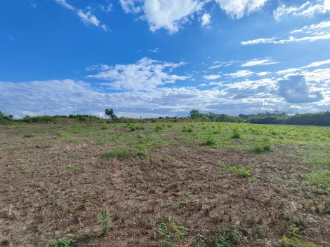imagem 1 - Área comercial com 37.556m² de terreno para locação e venda - Adelino Simioni imagem 1 - Área comercial com 37.556m² de terreno para locação e venda - Adelino Simioni