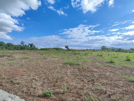 imagem 2 - Área comercial com 37.556m² de terreno para locação e venda - Adelino Simioni imagem 2 - Área comercial com 37.556m² de terreno para locação e venda - Adelino Simioni