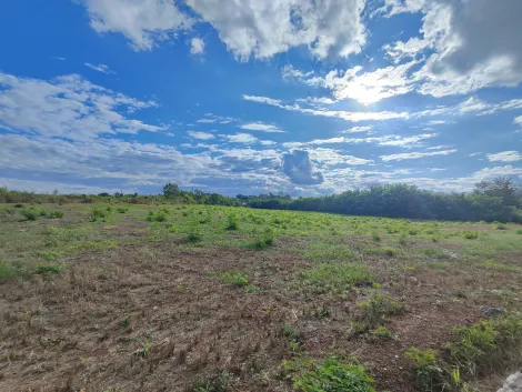 imagem 4 - Área comercial com 37.556m² de terreno para locação e venda - Adelino Simioni imagem 4 - Área comercial com 37.556m² de terreno para locação e venda - Adelino Simioni