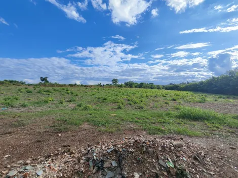 imagem 5 - Área comercial com 37.556m² de terreno para locação e venda - Adelino Simioni imagem 5 - Área comercial com 37.556m² de terreno para locação e venda - Adelino Simioni