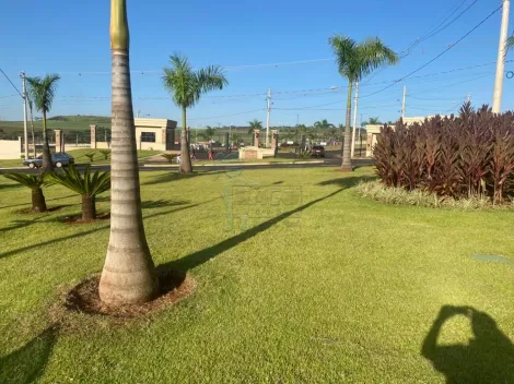 Comprar Terrenos / Condomínio em Ribeirão Preto R$ 299.000,00 - Foto 4