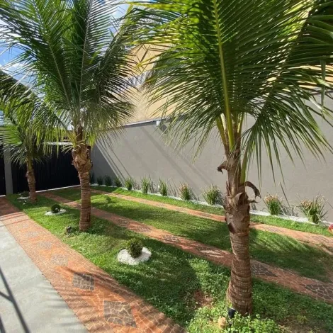 imagem 3 - EXCELENTE AREA DE LAZER NA CIDADE DE SERTÃOZINHO imagem 3 - EXCELENTE AREA DE LAZER NA CIDADE DE SERTÃOZINHO