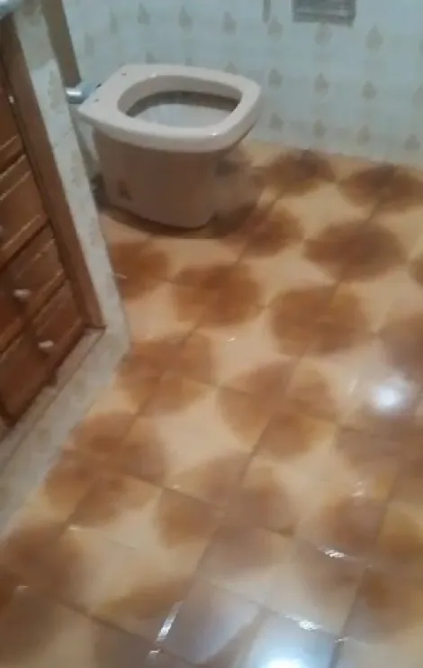 imagem 5 - Casa - Padrão imagem 5 - Casa - Padrão
