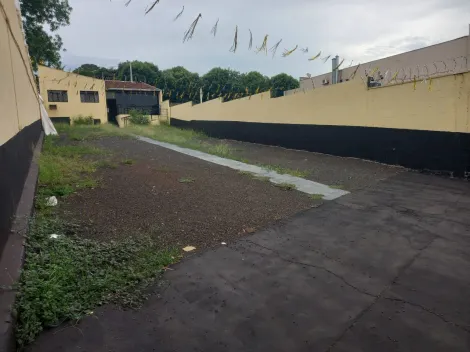 imagem 1 - Comercial padrão - Loja imagem 1 - Comercial padrão - Loja