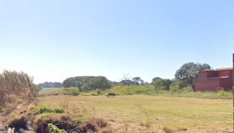 imagem 1 - Terreno Comercial de 340m² para locação e venda - Vila Elisa imagem 1 - Terreno Comercial de 340m² para locação e venda - Vila Elisa