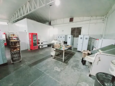 imagem 2 - Comercial padrão - Loja imagem 2 - Comercial padrão - Loja