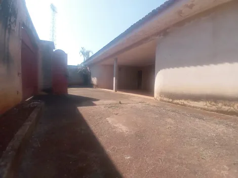 Casas / Padrão em Ribeirão Preto 