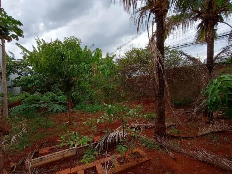 imagem 2 - Terreno - Padrão imagem 2 - Terreno - Padrão