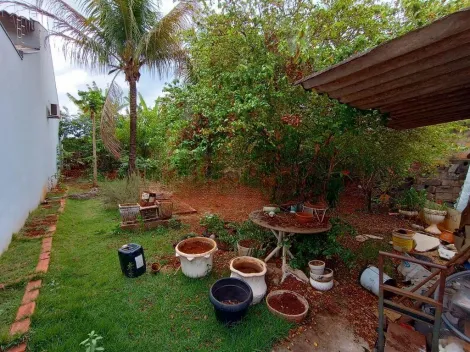 imagem 3 - Terreno - Padrão imagem 3 - Terreno - Padrão