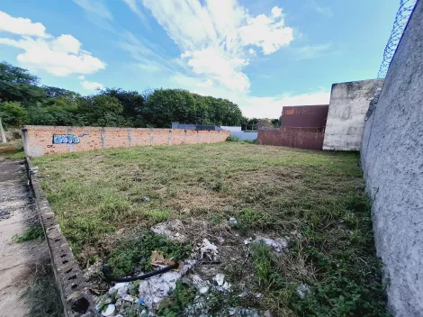 imagem 5 - Lote grande próximo ao Hospital Especializado imagem 5 - Lote grande próximo ao Hospital Especializado