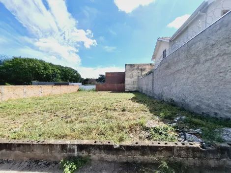 imagem 2 - Lote grande próximo ao Hospital Especializado imagem 2 - Lote grande próximo ao Hospital Especializado