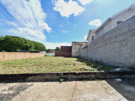 imagem 1 - Lote grande próximo ao Hospital Especializado imagem 1 - Lote grande próximo ao Hospital Especializado
