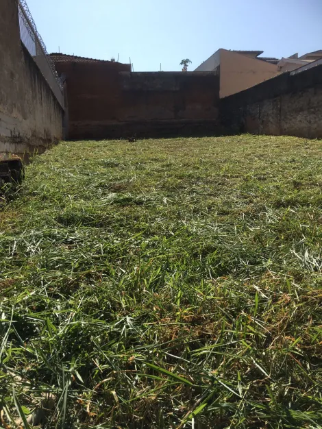 imagem 2 - TERRENO Á VENDA NO JARDIM MACEDO imagem 2 - TERRENO Á VENDA NO JARDIM MACEDO
