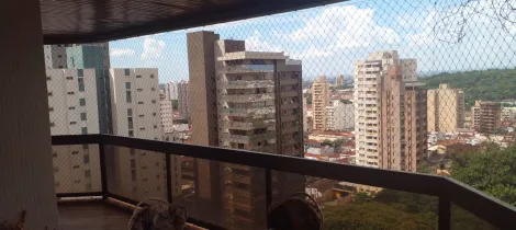 imagem 5 - LINDO APARTAMENTO NO CENTRO imagem 5 - LINDO APARTAMENTO NO CENTRO