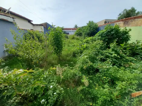 imagem 2 - Terreno de 496m² para venda e locação - Campos Elíseos imagem 2 - Terreno de 496m² para venda e locação - Campos Elíseos
