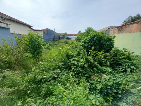 imagem 3 - Terreno de 496m² para venda e locação - Campos Elíseos imagem 3 - Terreno de 496m² para venda e locação - Campos Elíseos