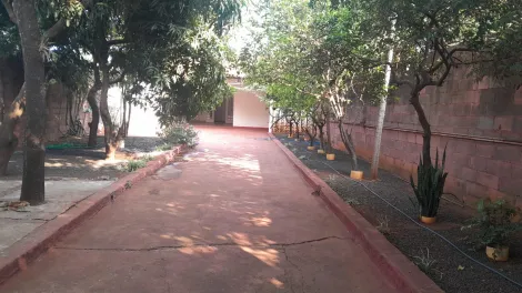 imagem 1 - CASA TÉRREA COM 2 DORMITÓRIOS DE 144 M² - VILA ELISA imagem 1 - CASA TÉRREA COM 2 DORMITÓRIOS DE 144 M² - VILA ELISA