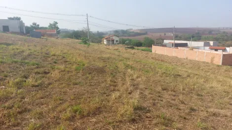imagem 5 - Terreno misto de 245m² para venda - Jardim das Araucárias imagem 5 - Terreno misto de 245m² para venda - Jardim das Araucárias