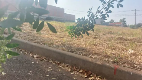 imagem 2 - Terreno misto de 245m² para venda - Jardim das Araucárias imagem 2 - Terreno misto de 245m² para venda - Jardim das Araucárias