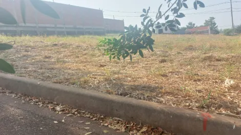 imagem 1 - Terreno misto de 245m² para venda - Jardim das Araucárias imagem 1 - Terreno misto de 245m² para venda - Jardim das Araucárias