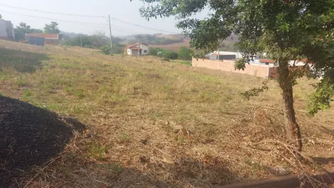 imagem 4 - Terreno misto de 245m² para venda - Jardim das Araucárias imagem 4 - Terreno misto de 245m² para venda - Jardim das Araucárias