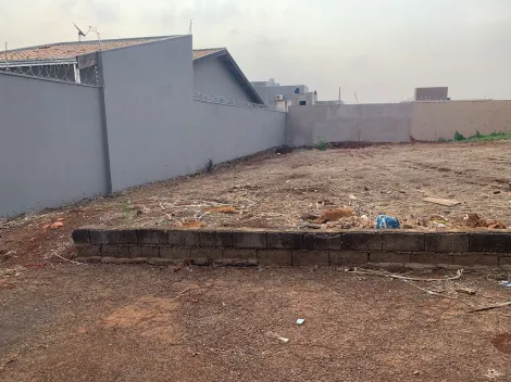 imagem 1 - Terreno de 300m² - Alto da Boa Vista imagem 1 - Terreno de 300m² - Alto da Boa Vista