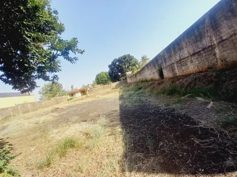 imagem 1 - Terreno de 1.500m² para locação e venda - City Ribeirão imagem 1 - Terreno de 1.500m² para locação e venda - City Ribeirão